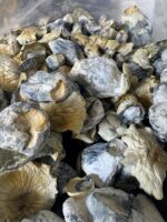 Blue Vuitton | 8th:50$  / 7g:70$ / 14g:120$ | 21g:150$ / Oz:200$ - Image 2