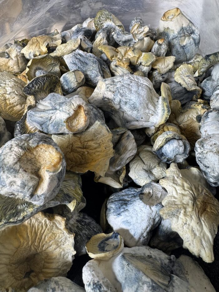 Blue Vuitton | 8th:50$  / 7g:70$ / 14g:120$ | 21g:150$ / Oz:200$ - Image 2