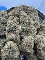 Khalifa OG KUSH🏆 | 8th:50$ / 7g:70$ / 14g:130$ / 21g:160$ / Oz:200$