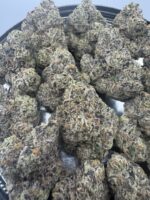 Rainbow Zkittlez🏆 | 8th:50$ / 7g:70$ / 14g:130$ / 21g:160$ / Oz:220$ - Image 2