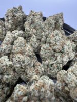 Super Sour Diesel🏆 | 8th:50$ / 7g:70$ / 14g:130$ / 21g:160$ / Oz:220$ / 2oz:360$