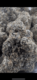 Grandaddy Runtz⭐️ | 8th:40$ / 7g:60$ / 14g:110$ / 21g:150$ / Oz:200$ / 2oz:300$