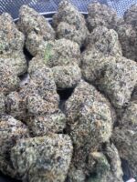 Bubba Lato 🏆 | 8th:50$ / 7g:70$ / 14g:130$ / 21g:150$ / Oz:220$