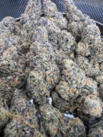 Sour Sorbet 🏆 | 8th:50$ / 7g:70$ / 14g:120$ / 21g:140$ / Oz:200$