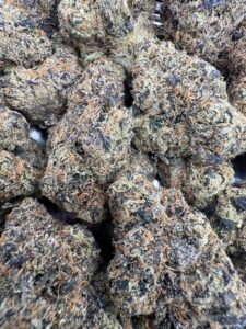 Florida Kush🏆 | 8th:40$ / 7g:60$ / 14g:110$ / 21g:140$ / Oz:200$