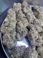 Rainbow Runtz 🍭 | 8th:40$ / 7g:60$ / 14g:100$ / 21g:130$ / Oz:180$ / 2oz:240$