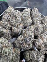 Grim Reaper🥇| 8th:50$ / 7g:70$ / 14g:130$ / 21g:160$ / Oz:220$