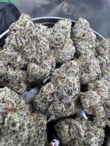 Grim Reaper🥇| 8th:50$ / 7g:70$ / 14g:130$ / 21g:160$ / Oz:220$