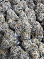 Mamba Runtz🥇 | 8th:50$ / 7g:70$ / 14g:130$ / 21g:160$ / Oz:220$ - Image 2