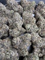 Granny’s Sundae 🏆 | 8th:50$ / 7g:70$ / 14g:130$ / 21g:160$ / Oz:220$ - Image 2