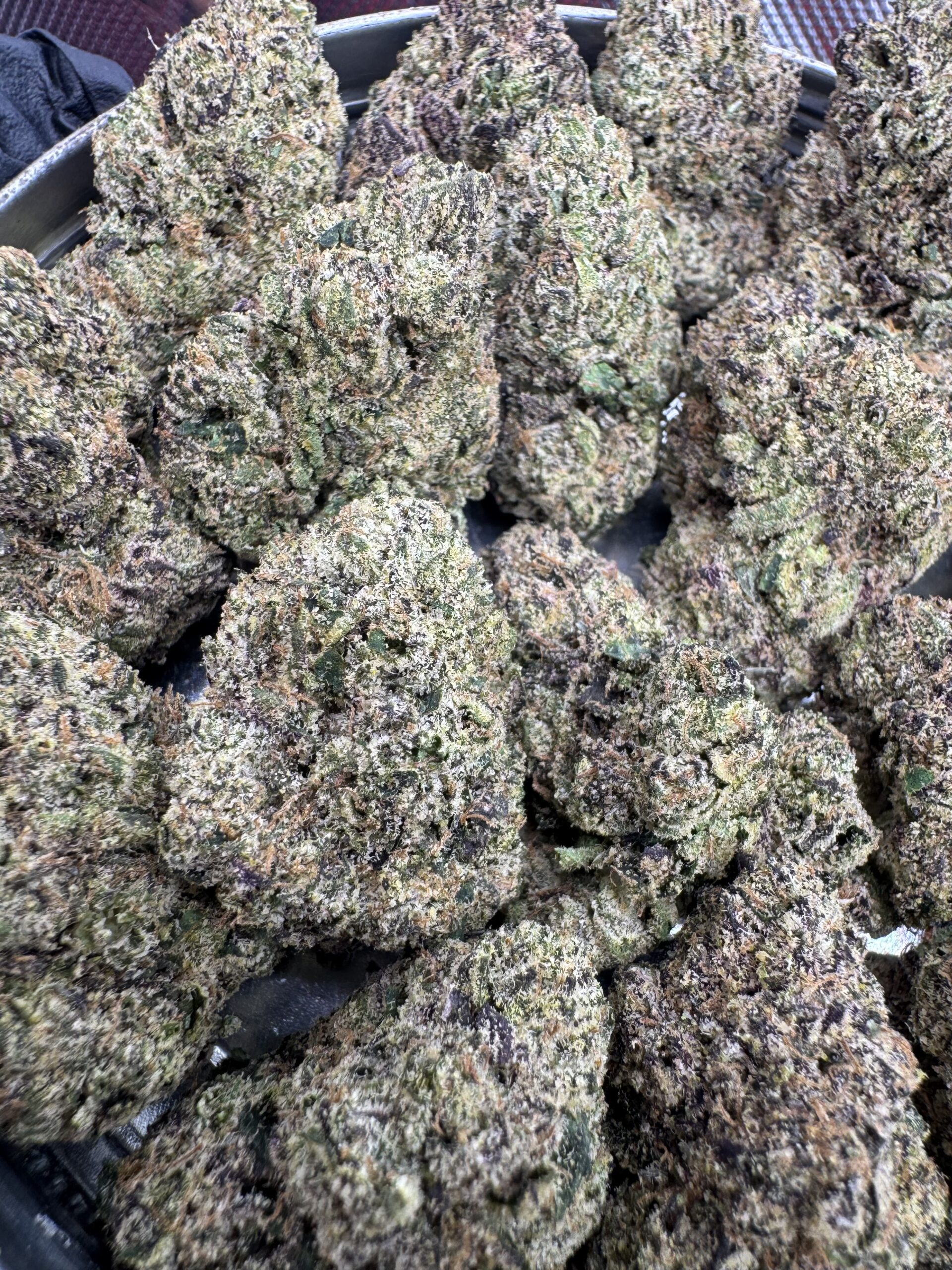 IMG_6382 Black Cherry Soda🏆 | 8th:50$ / 7g:70$ / 14g:120$ / 21g:150$ / Oz:200$ - Image 1