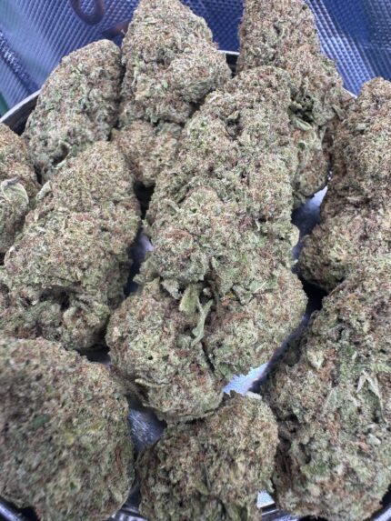 White Widow🕷️ | 8th:40$ / 7g:60$ / 14g:110$ / 21g:140$ / Oz:180$ / 2oz:250$