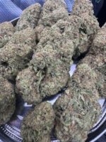 White Widow🕷️ | 8th:40$ / 7g:60$ / 14g:110$ / 21g:140$ / Oz:180$ / 2oz:250$ - Image 2