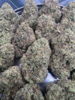 Gelato#33 ⭐️ | 8th:40$ / 7g:60$ / 14g:110$ / 21g:140$ / Oz:180$ / 2oz:280$