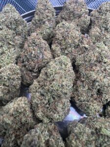 Gelato#33 ⭐️ | 8th:40$ / 7g:60$ / 14g:110$ / 21g:140$ / Oz:180$ / 2oz:280$