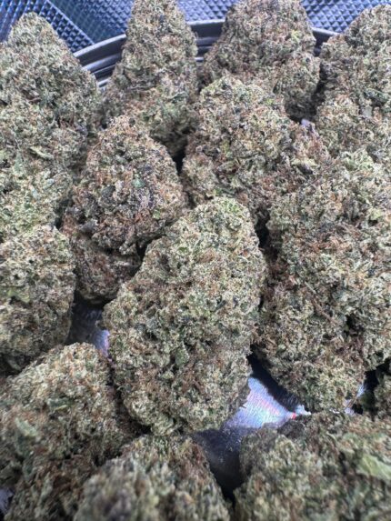 Gelato#33 ⭐️ | 8th:40$ / 7g:60$ / 14g:110$ / 21g:140$ / Oz:180$ / 2oz:280$