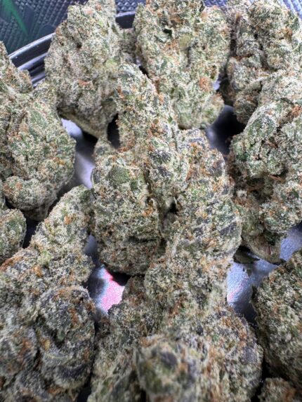 Super Sour Skunk⭐️ | 8th:40$ / 7g:65$ / 14g:120$ / 21g:150$ / Oz:200$