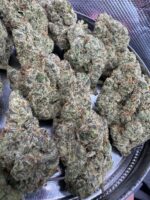 Super Sour Skunk⭐️ | 8th:40$ / 7g:65$ / 14g:120$ / 21g:150$ / Oz:200$ - Image 2