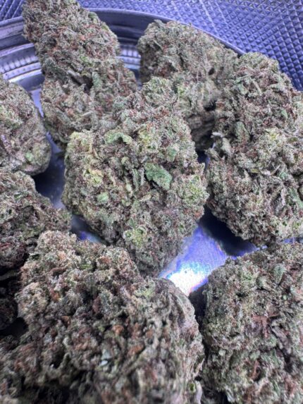 Blue Dream 🔥 | 8th:40$ / 7g:60$ / 14g:100$ / 21g:130$ / Oz:160$ / 2oz:240$