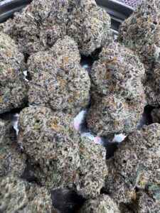Candy Pave🏅 | 8th:50$ / 7g:70$ / 14g:130$ / 21g:160$ / Oz:220$