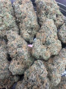 Amnesia Haze⭐️ | 8th:40$ / 7g:65$ / 14g:120$ / 21g:150$ / Oz:200$