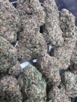 Cereal Milk🏆 | 8th:50$ / 7g:70$ / 14g:130$ / 21g:160$ / Oz:220$ - Image 2