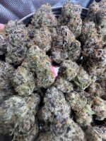 Bubblegum Nerdz🏅 | 8th:50$ / 7g:70$ / 14g:130$ / 21g:160$ / Oz:220$