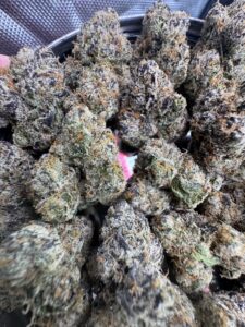 Bubblegum Nerdz🏅 | 8th:50$ / 7g:70$ / 14g:130$ / 21g:160$ / Oz:220$