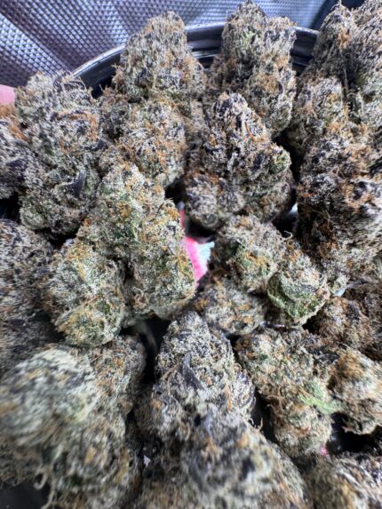 Bubblegum Nerdz🏅 | 8th:50$ / 7g:70$ / 14g:130$ / 21g:160$ / Oz:220$