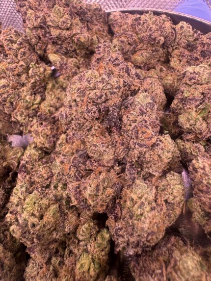 Purple Garlic Sour🥇 | 8th:50$ / 7g:70$ / 14g:130$ / 21g:160$ / Oz:220$