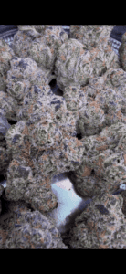 Frosty Melonade🥇 | 8th:50$ / 7g:70$ / 14g:130$ / 21g:170$ / Oz:220$