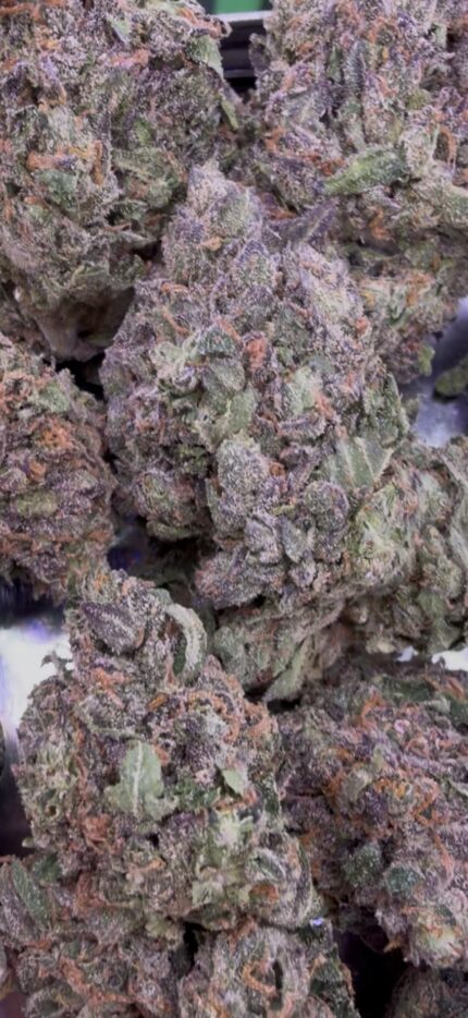Gelato OG⛽️ | 8th:40$ / 7g:60$ / 14g:110$/ 21g:140$ / Oz:180$ / 2oz:320$