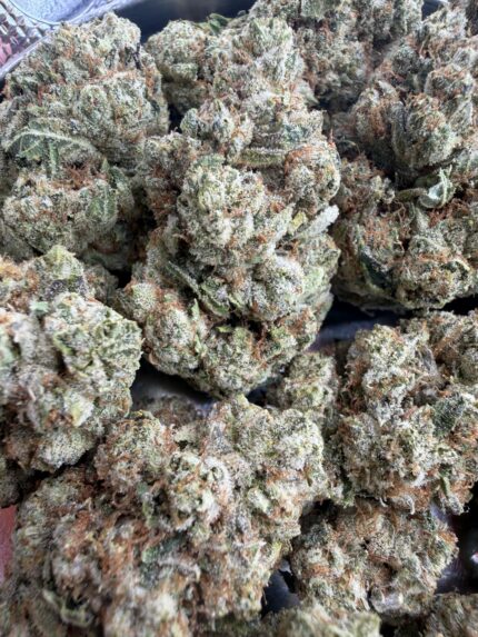 Khalifa OG🏆 | 8th:50$ / 7g:70$ / 14g:130$ / 21g:160$ / Oz:220$