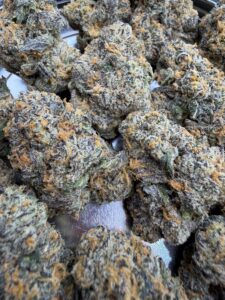 Jungle Cake🥇 | 8th:50$ / 7g:80$ / 14g:140$ / 21g:170$ / Oz:240$