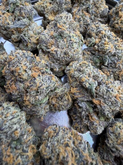 Jungle Cake🥇 | 8th:50$ / 7g:80$ / 14g:140$ / 21g:170$ / Oz:240$
