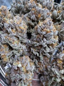 Purple Trainwreck🔥 | 8th:40$ / 7g:50$ / 14g:90$ / 21g:130$ / Oz:150$