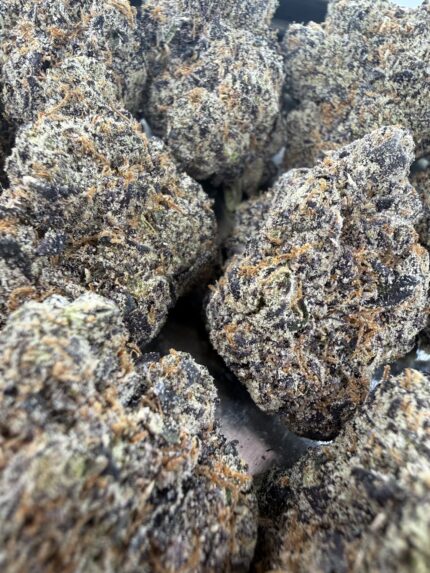 Toad Venom🥇 | 8th:50$ / 7g:70$ / 14g:130$ / 21g:160$ / Oz:220$