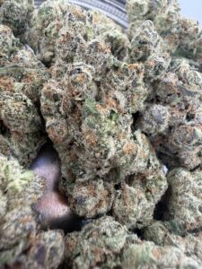 Strawberry Cough🏅 | 8th:50$ / 7g:70$ / 14g:130$ / 21g:170$ / Oz:220$ / 2oz:350$