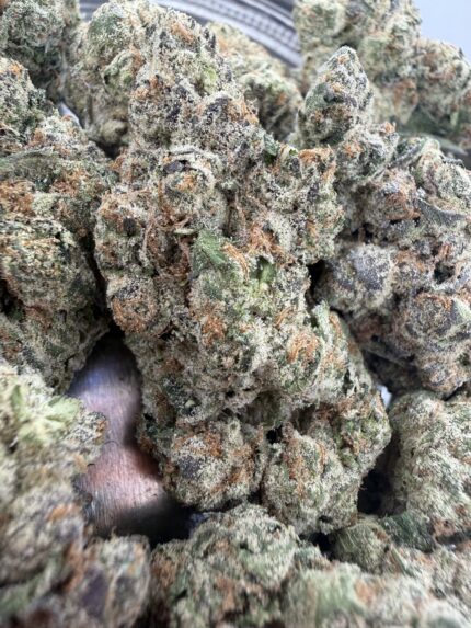Strawberry Cough🏅 | 8th:50$ / 7g:70$ / 14g:130$ / 21g:170$ / Oz:220$ / 2oz:350$