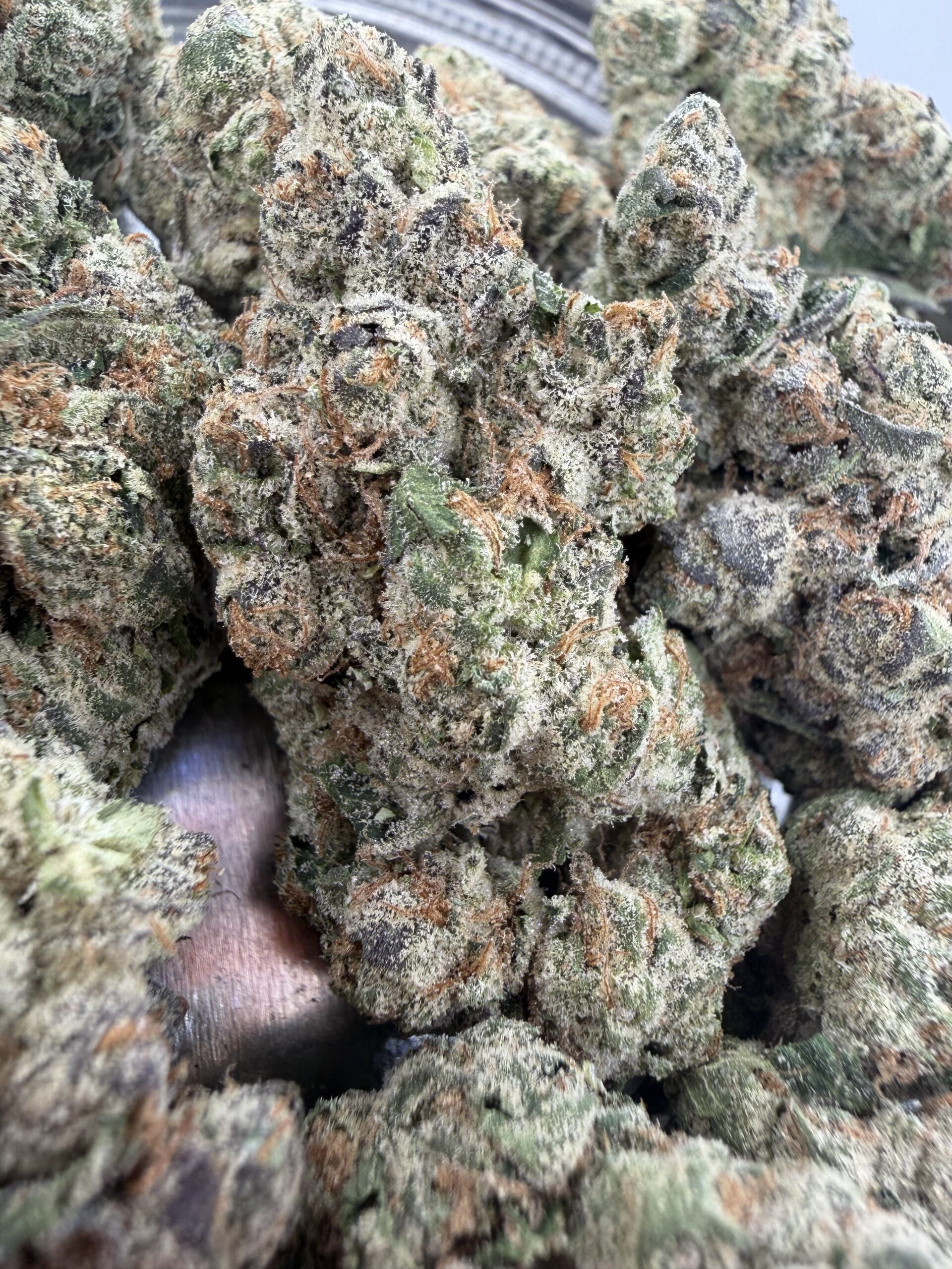 IMG_8424 Strawberry Cough🏅 | 8th:50$ / 7g:70$ / 14g:130$ / 21g:170$ / Oz:220$ / 2oz:350$ - Image 1