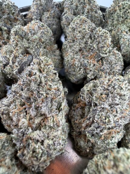 Dosi Pie🏆 | 8th:50$ / 7g:70$ / 14g:130$ / 21g:160$ / Oz:220$