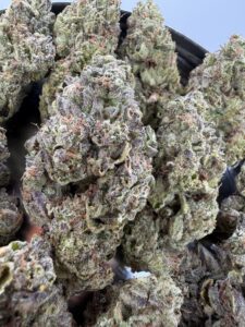 Super Silver Haze🔥 | 8th:40$ / 7g:60$ / 14g:110$ / 21g:140$ / Oz:170$ / 2oz:280$