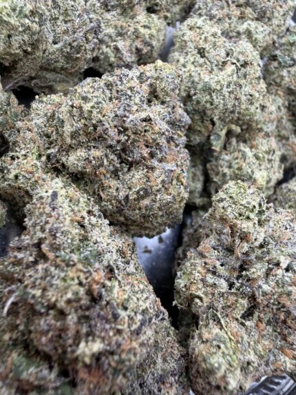 Melonade🏆 | 8th:50$ / 7g:70$ / 14g:130$ / 21g:160$ / Oz:220$