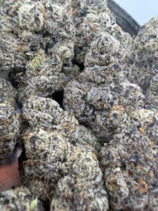 White Zangria🏆 | 8th:50$ / 7g:70$ / 14g:130$ / 21g:160$ / Oz:220$