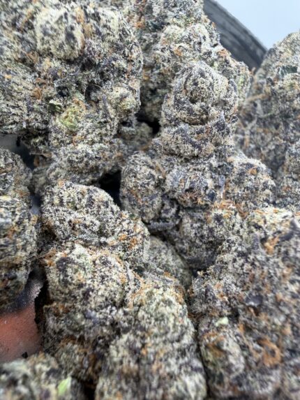 White Zangria🏆 | 8th:50$ / 7g:70$ / 14g:130$ / 21g:160$ / Oz:220$